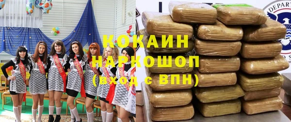гидра Алексеевка