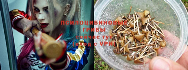 ALPHA PVP Алзамай